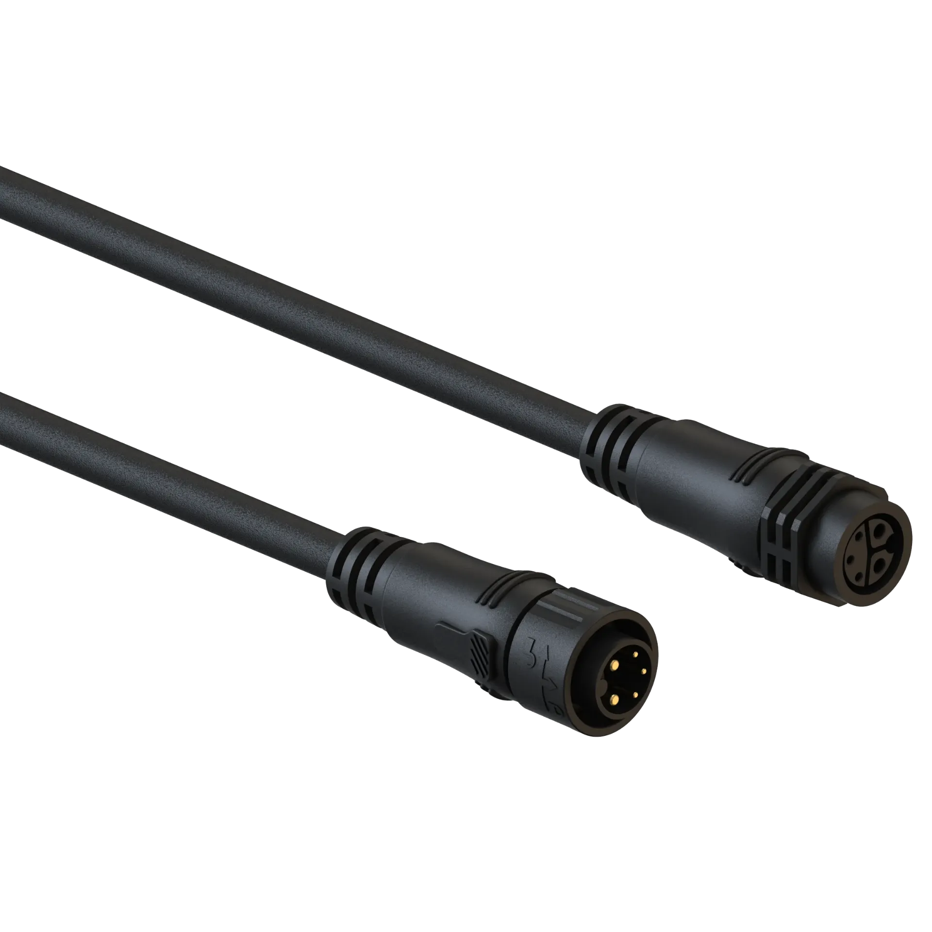 M19 5Pin Jumper Cable